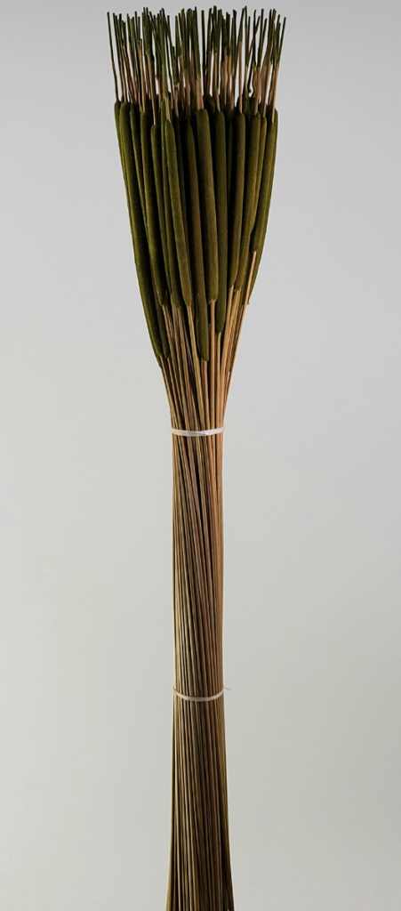 Cat Tails