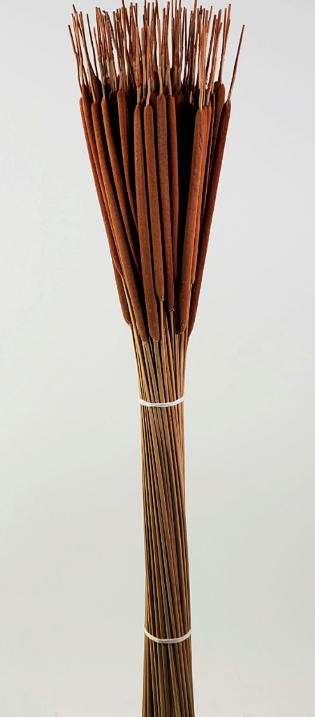Cat Tails