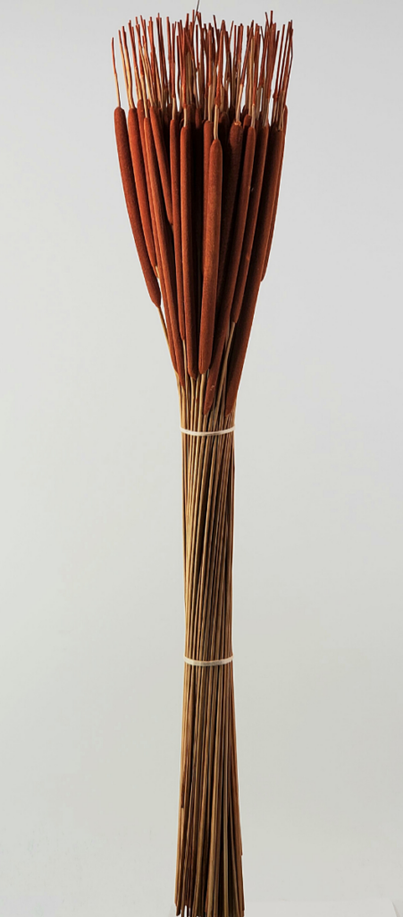 Cat Tails